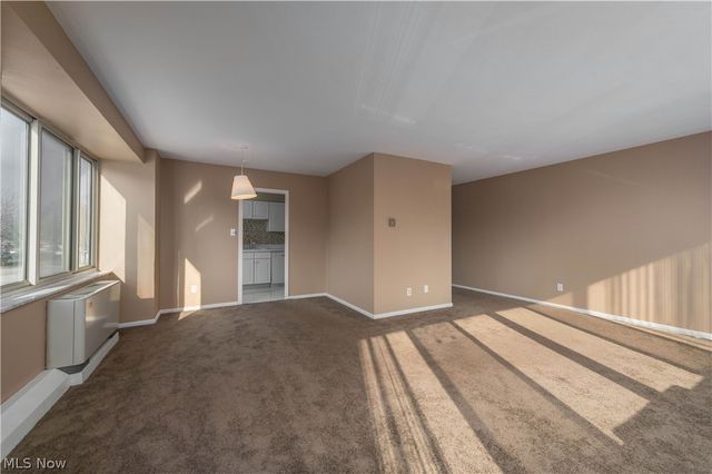 12520 Edgewater Drive 210, Lakewood, OH 44107