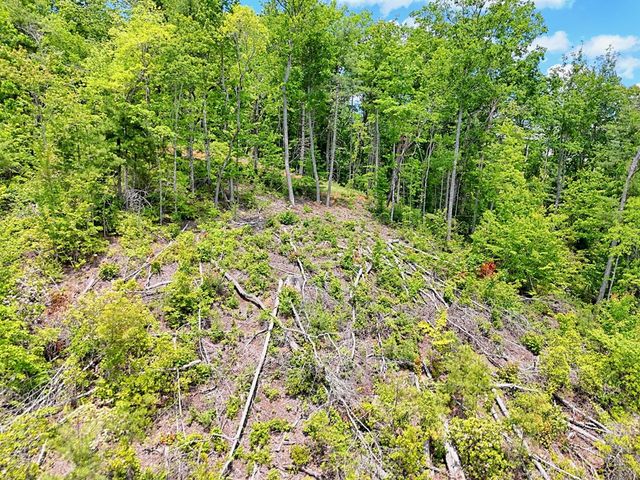 Lot 28 Bryson Creek, Murphy, NC 28906