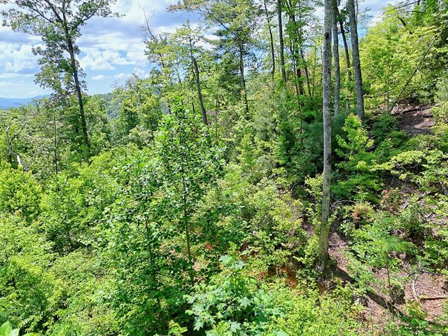 Lot 28 Bryson Creek, Murphy, NC 28906