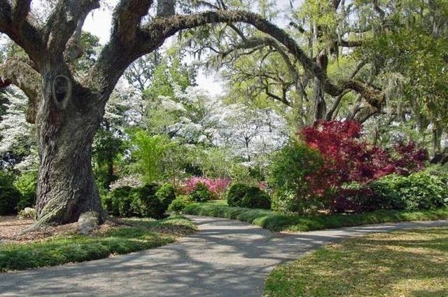 512 Chanted Dr., Murrells Inlet, SC 29576