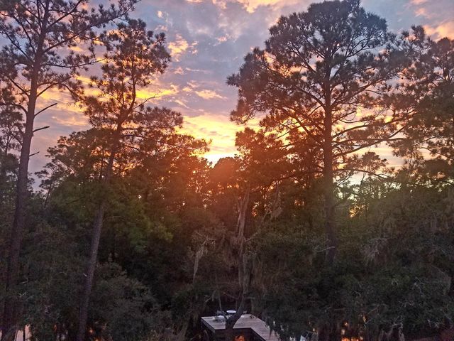 2916 Caroline Rose Path, Johns Island, SC 29455