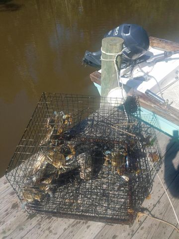 2916 Caroline Rose Path, Johns Island, SC 29455