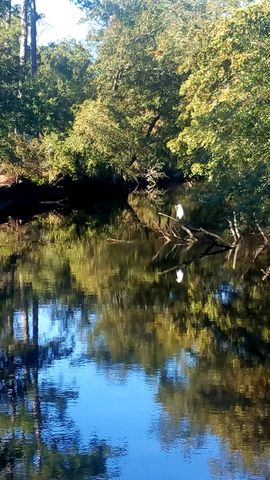 2916 Caroline Rose Path, Johns Island, SC 29455