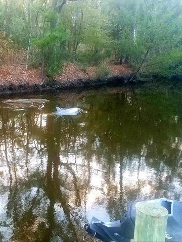 2916 Caroline Rose Path, Johns Island, SC 29455