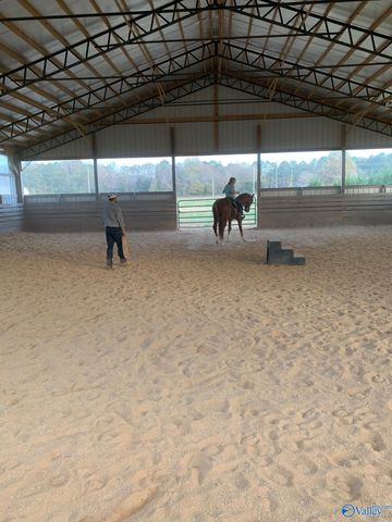 1390 Old Highway 431, Owens Cross Roads, AL 35763