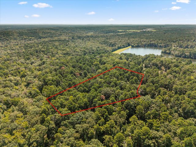 229 County Road 4554, Winnsboro, TX 75494