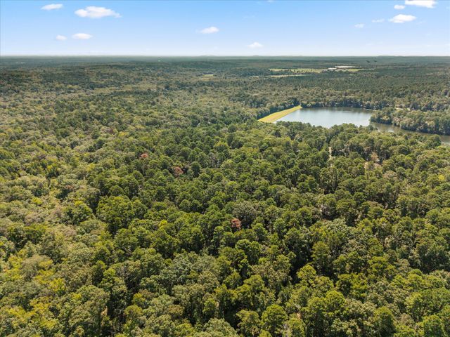 229 County Road 4554, Winnsboro, TX 75494