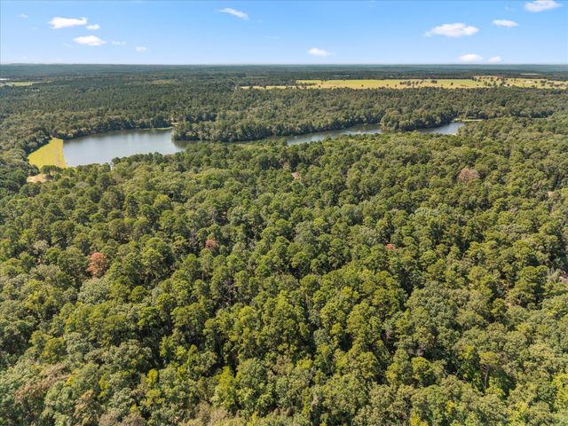 229 County Road 4554, Winnsboro, TX 75494