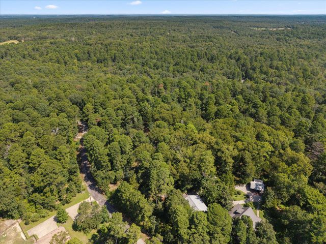 229 County Road 4554, Winnsboro, TX 75494