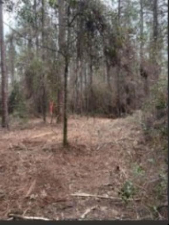 0 Roberts Chapel Road, Mobile, AL 36608 — photo 5