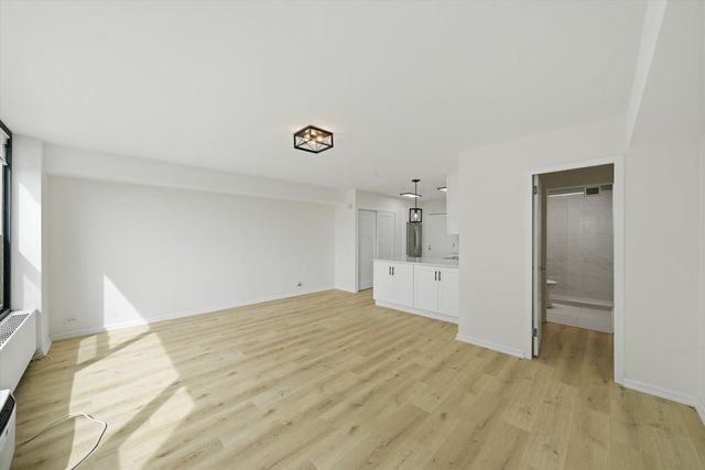 3600 N Lake Shore Drive 1217, Chicago, IL 60613