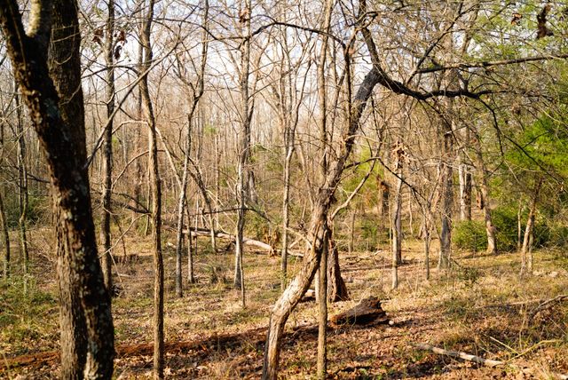 9268 County Road 4346, Larue, TX 75770