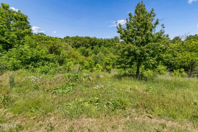 113 Mcinturff Lane, Johnson City, TN 37604
