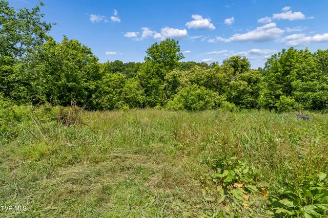 113 Mcinturff Lane, Johnson City, TN 37604