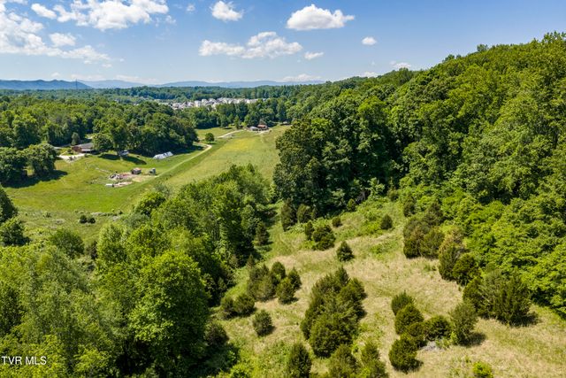 113 Mcinturff Lane, Johnson City, TN 37604