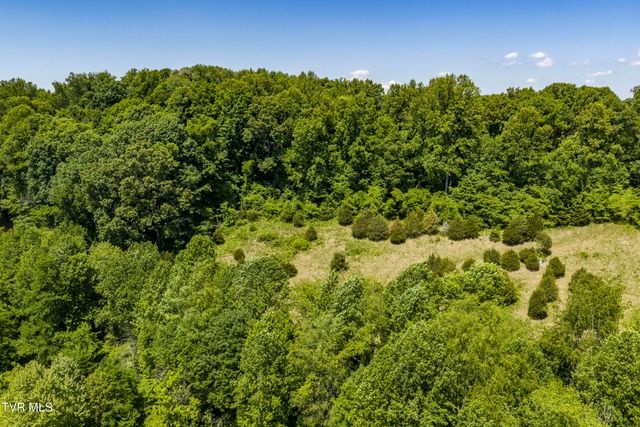 113 Mcinturff Lane, Johnson City, TN 37604