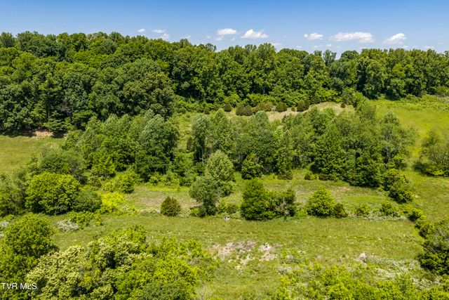 113 Mcinturff Lane, Johnson City, TN 37604