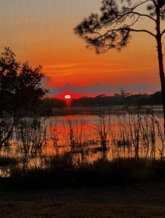 Image 4 of property listing at 3828 OAK POINTE DRIVE, Lady Lake, FL 32159