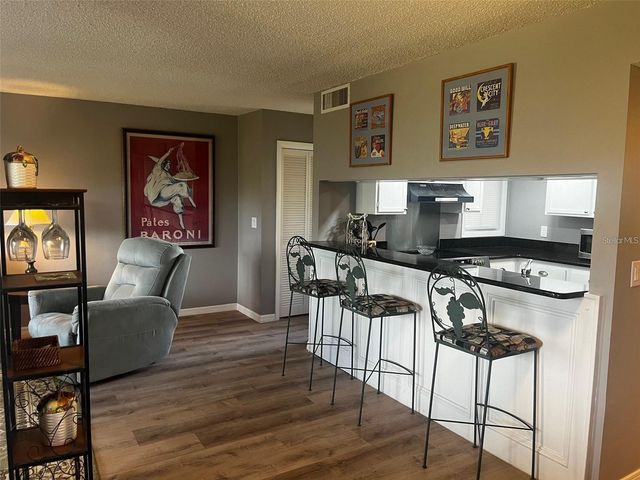 1051 S HIGHLAND STREET 6B, Mount Dora, FL 32757