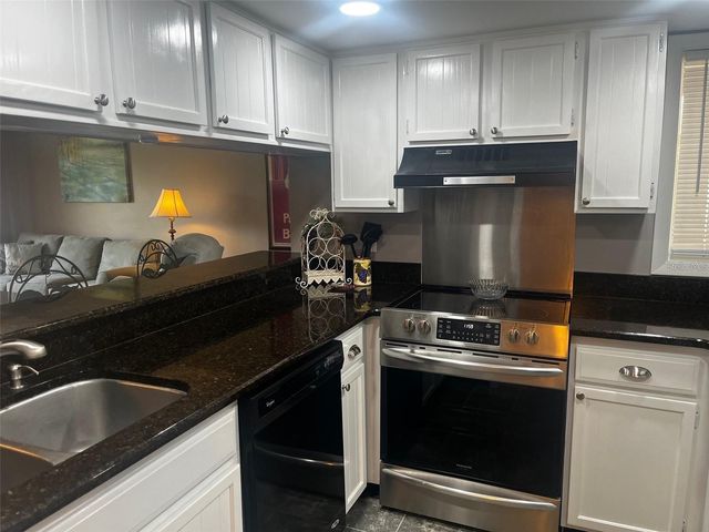 1051 S HIGHLAND STREET 6B, Mount Dora, FL 32757