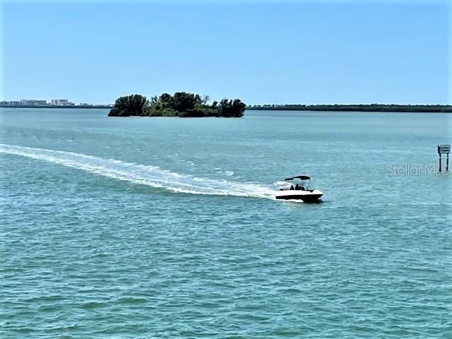 7 ISLAND PARK PLACE 204, Dunedin, FL 34698