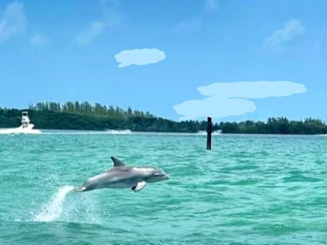 7 ISLAND PARK PLACE 204, Dunedin, FL 34698