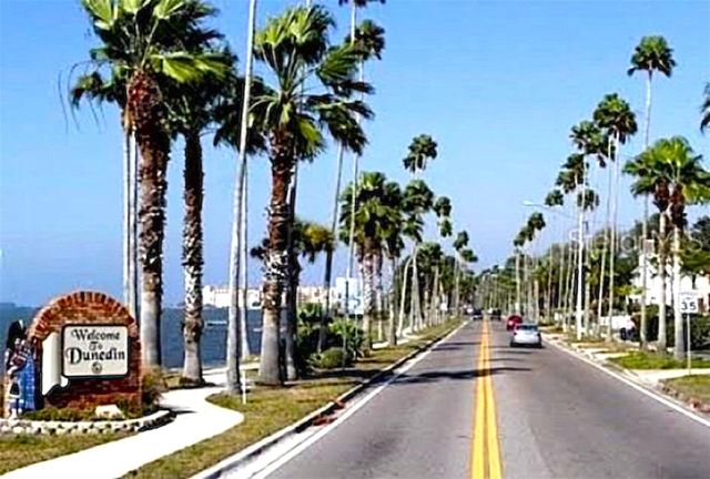 7 ISLAND PARK PLACE 204, Dunedin, FL 34698