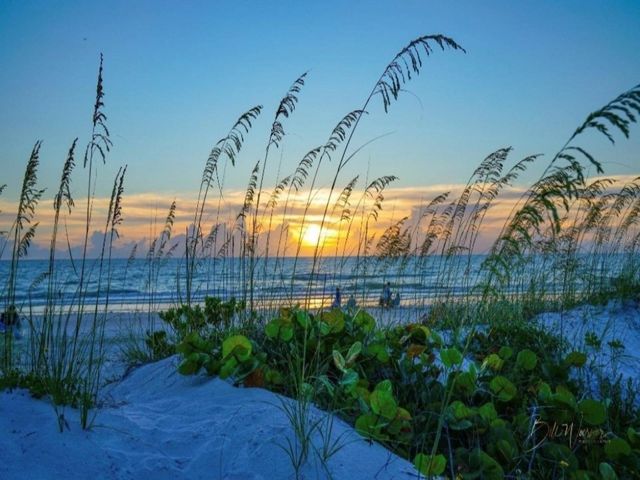 7 ISLAND PARK PLACE 204, Dunedin, FL 34698