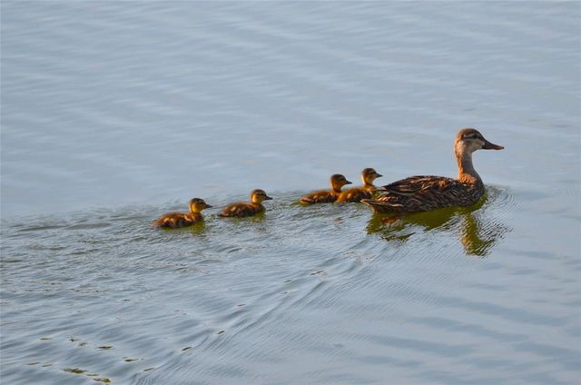 4024 OAKVIEW DRIVE I2, Punta Gorda, FL 33980