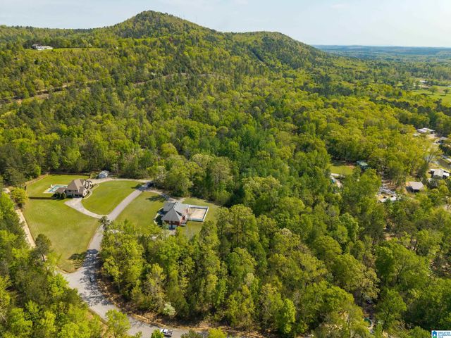 228 EDGELAND ROAD, Vandiver, AL 35176