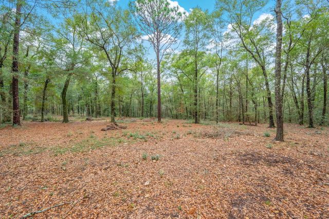 4.69 Acres JV Woolley Road, Crestview, FL 32539