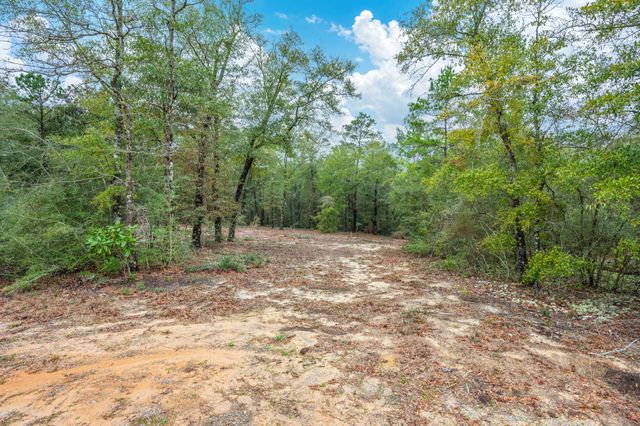 4.69 Acres JV Woolley Road, Crestview, FL 32539