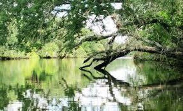 738 SW Ravenswood Lane, Port St. Lucie, Port St Lucie, FL 34983