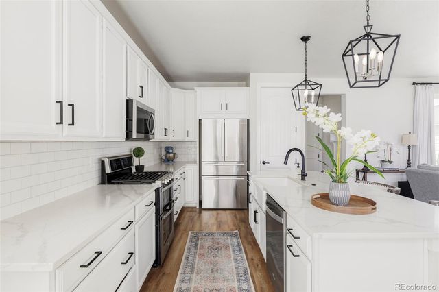 8110 Sterling Ranch Avenue, Littleton, CO 80125