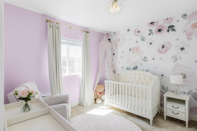 8110 Sterling Ranch Avenue, Littleton, CO 80125