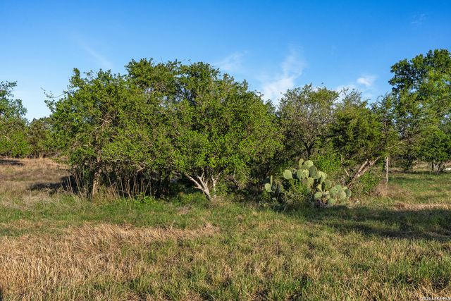 0020 Clearwater, Comfort, TX 78013