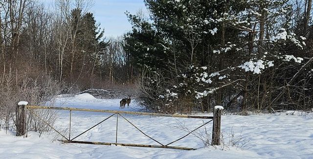 14th Avenue Parcel C, South Haven, MI 49090