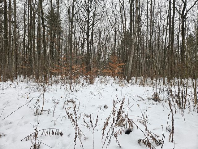 14th Avenue Parcel C, South Haven, MI 49090