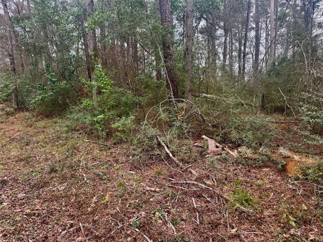 TBD Eastwood Avenue, Coldspring, TX 77331