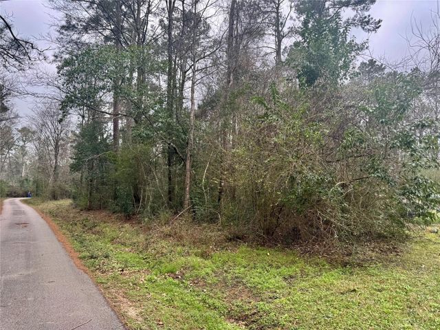 TBD Eastwood Avenue, Coldspring, TX 77331