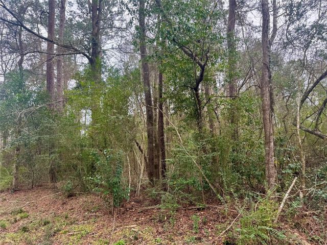 TBD Eastwood Avenue, Coldspring, TX 77331