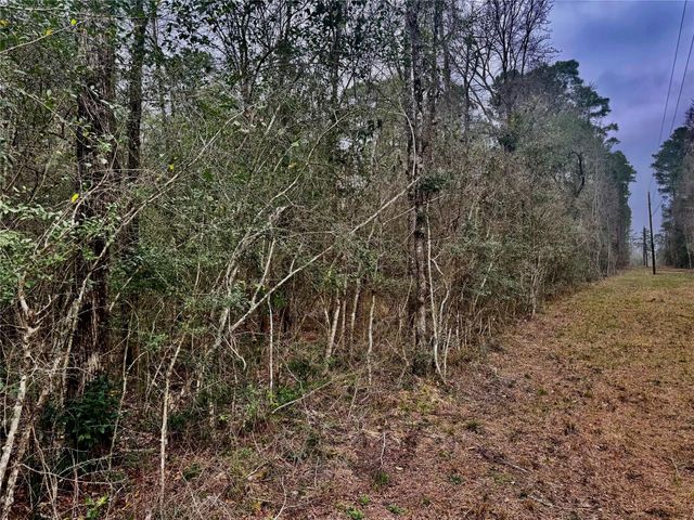 TBD Eastwood Avenue, Coldspring, TX 77331