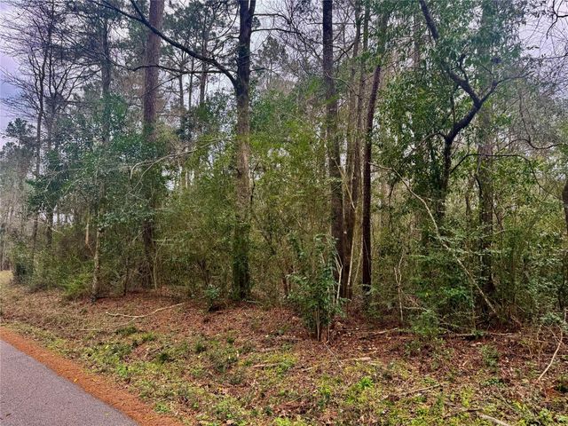 TBD Eastwood Avenue, Coldspring, TX 77331