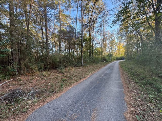 TBD Eastwood Avenue, Coldspring, TX 77331