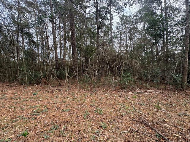 TBD Eastwood Avenue, Coldspring, TX 77331