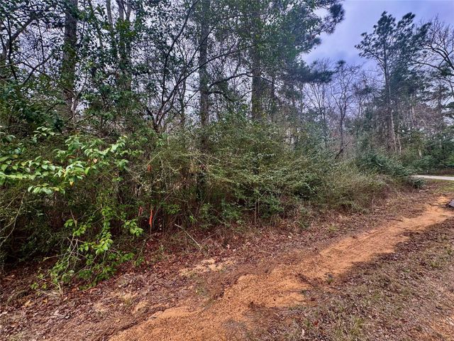 TBD Eastwood Avenue, Coldspring, TX 77331