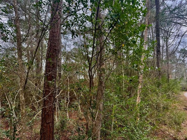 TBD Eastwood Avenue, Coldspring, TX 77331