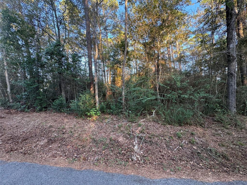 TBD Eastwood Avenue, Coldspring, TX 77331