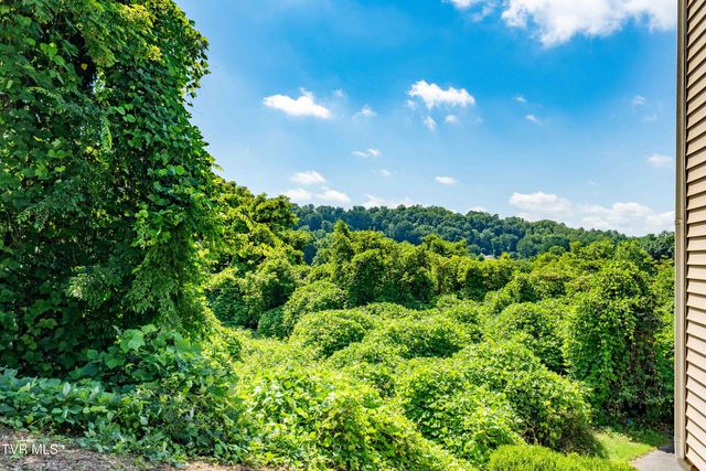 100 Gables Place 206, Kingsport, TN 37664