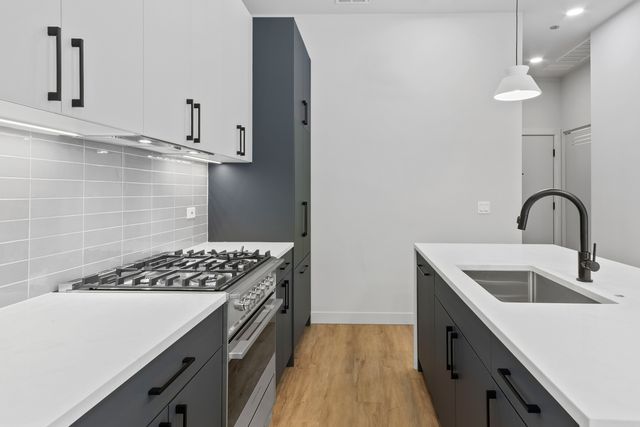 1550 W Monroe Street 203, Chicago, IL 60607